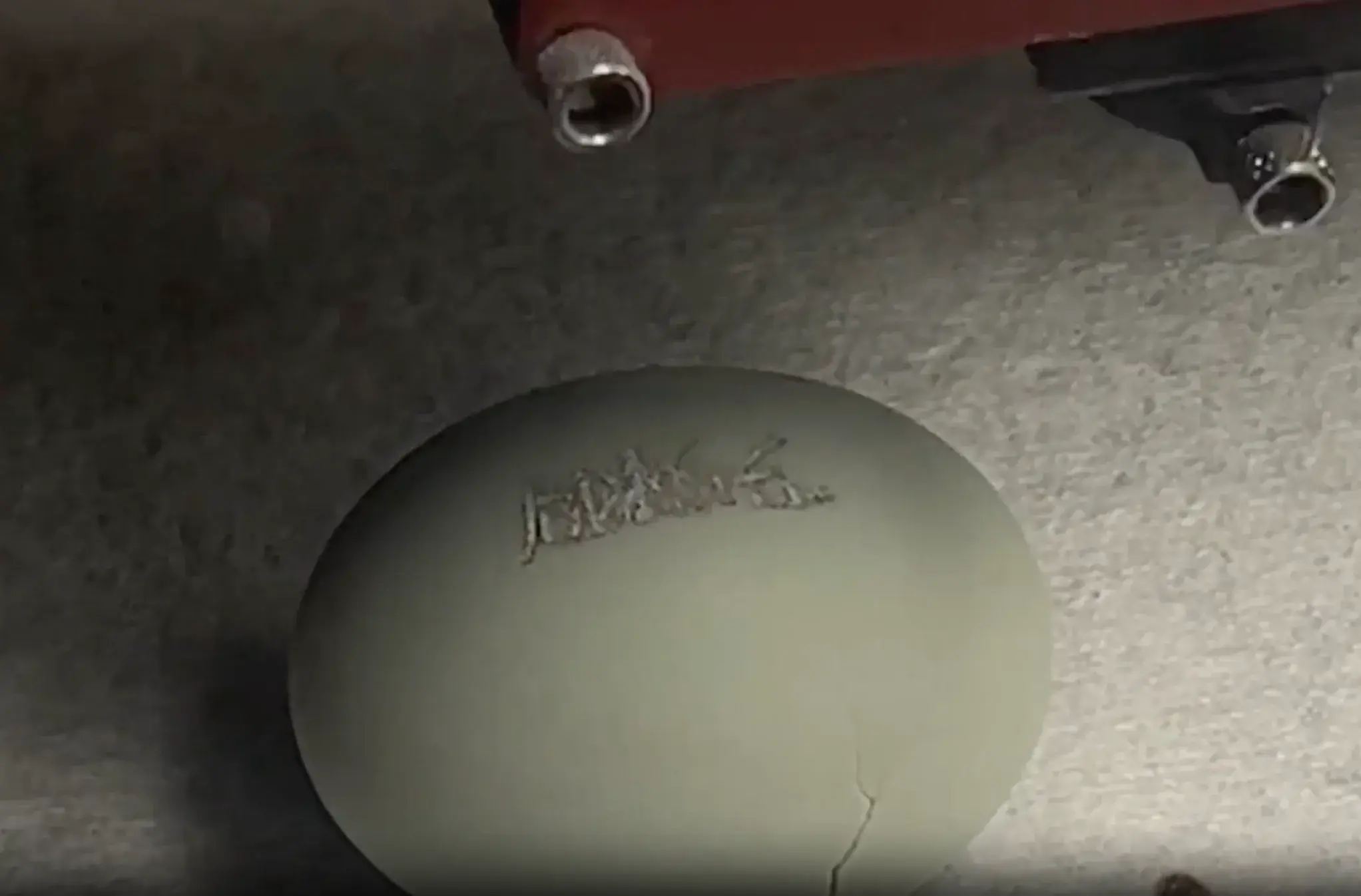 salted egg yolk / seeing beyond