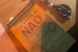 Power of Nao